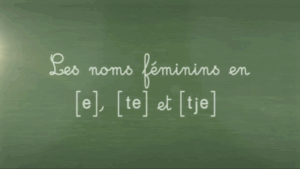 Les noms féminins en [e], [te] et [tje]